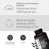 Shilajit 1400mg - Shilajit Pur de lHimalaya - Hautement dosé en Acides Fulviques 50% et Acides Humiques 12% - Immunité, 