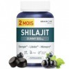 GRANIONS SHILAJIT GUMMIES 2 MOIS | Shilajit Himalaya 800 mg + Ashwagandha + Acide Fulvique | Zinc, Vitamine B12 & B6 -Boost M