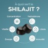 GRANIONS SHILAJIT GUMMIES 2 MOIS | Shilajit Himalaya 800 mg + Ashwagandha + Acide Fulvique | Zinc, Vitamine B12 & B6 -Boost M