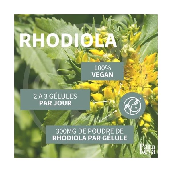 Parakeya - Rhodiola 300 mg - 60 gélules - Complément alimentaire Oligo-éléments