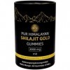 Gummies Shilajit Gold - hautement dosé