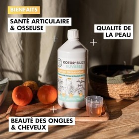 KOTOR SILICE BUVABLE 1L | Lot de 2 | Silicium Organique Naturel et Francais | Fortement Dosé | Articulations, Os, Cartilages,
