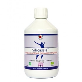SILICASSIS BIO Slilicium organique 500 ml Solution colloïdale dynamisée et spagyrisée Vecteur Energy