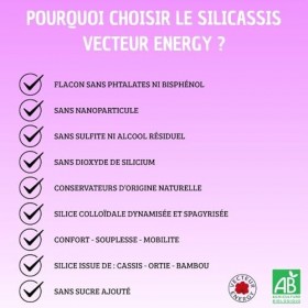 SILICASSIS BIO Slilicium organique 500 ml Solution colloïdale dynamisée et spagyrisée Vecteur Energy