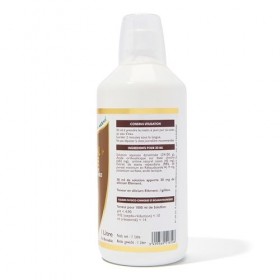 SFB Laboratoires – Silicium Élément Hautement Biodisponible Olivital + ACTIVÉ 1 L | Arômes Cassis Solution buvable - Articul