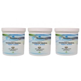 Charbon Végétal Super Activé – Poudre 100% issu de Coques de Noix de Coco – Pot XXL 200 g – Format Économique - Made in Franc...