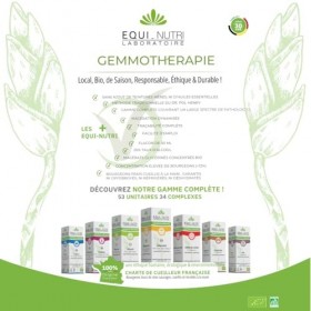 Macerat mère de bourgeons BIO dolivier 30 ml gemmothérapie EQUI-NUTRI LABORATOIRE