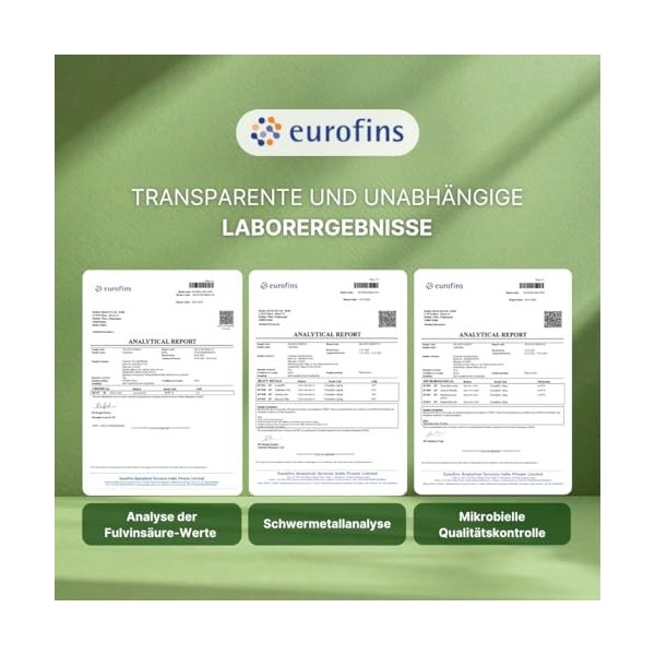 Shilajit Premium 100 % pur | 89 % acide fulvique | 85+ minéraux | Pure Himalaya Mumijo Shilajit Résine | Végétalien