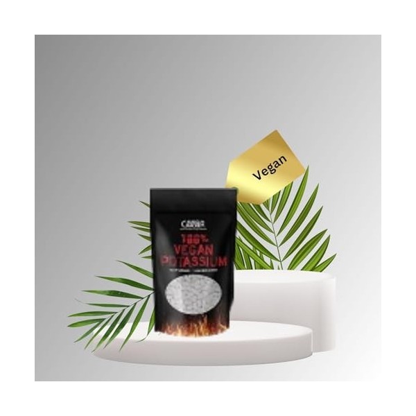 500 comprimés de potassium sans additifs végétaliens, 495 mg par dose quotidienne