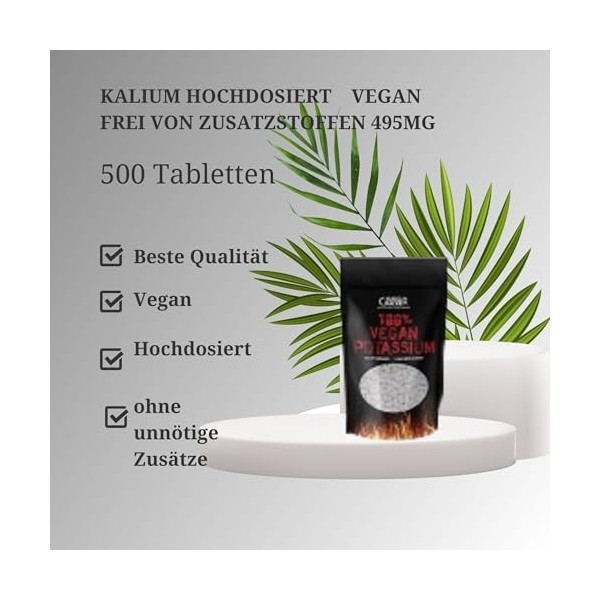 500 comprimés de potassium sans additifs végétaliens, 495 mg par dose quotidienne