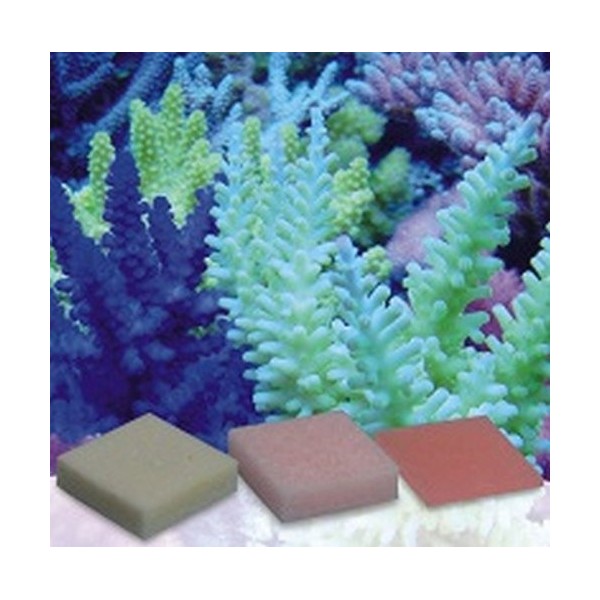 Corail zucht. de Pohl S K-Balance Potassium Mix Concentré, 1er Pack 1 x 100 ML 