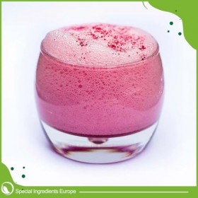 Special Ingredients Alginate de Sodium en poudre 100g - Extrait d’algue - Épaississant, émulsifiant & améliorateur de texture...