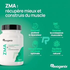 ZMA Hautement Dosé | Zinc, Magnésium & Vitamine B6 | Facilite la prise de Masse et la Récupération Musculaire | Soutien produ