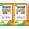 Dr. Harold Katz Therabreath Dry Mouth Sugar Free Lozenges 100 Wrapped Lozenges Pack of 2 by Dr. Harold Katz