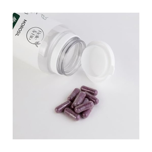 CAPTEUR DE GRAISSE- Complexe Morosil - 90 Gélules - Belle&Bio - Réduction ciblée de la masse grasse - Fabriqué en France