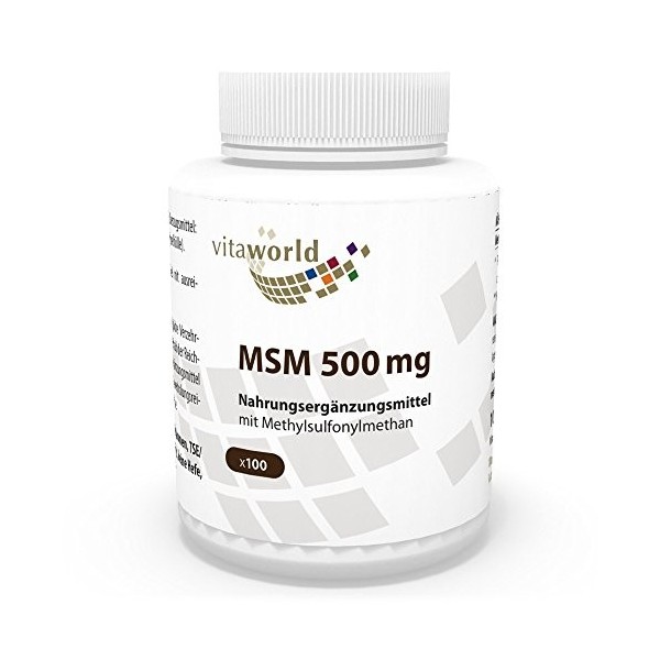 Vita World MSM 500mg 100 Capsules Méthylsulfonylméthane Made in Germany