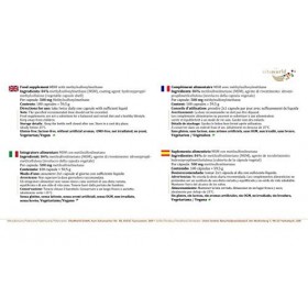 Vita World MSM 500mg 100 Capsules Méthylsulfonylméthane Made in Germany