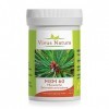 Vivus Natura MSM 60 capsules de soufre végétal 60 pièces