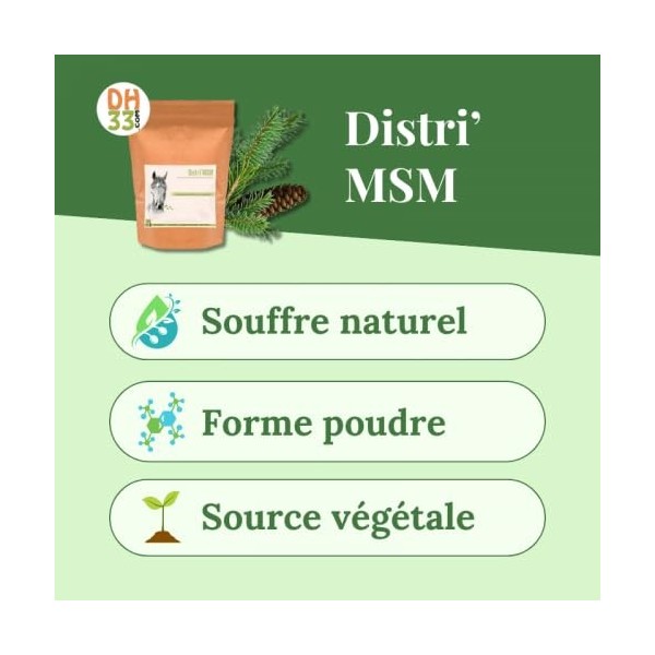 MSM Cheval – Soufre Organique pour Articulations, Tendons et Confort Respiratoire – Soutien Anti-Inflammatoire, Muscles et Ti...