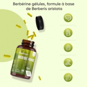 Berberine Gélules Vegan de Berbérine HCL, 4 Mois dApprovisionnement, sans Stéarate de Magnésium et sans Additifs - Extrait d
