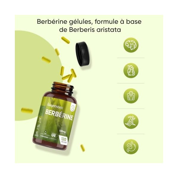 Berberine Gélules Vegan de Berbérine HCL, 4 Mois dApprovisionnement, sans Stéarate de Magnésium et sans Additifs - Extrait d