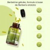 Berberine Gélules Vegan de Berbérine HCL, 4 Mois dApprovisionnement, sans Stéarate de Magnésium et sans Additifs - Extrait d
