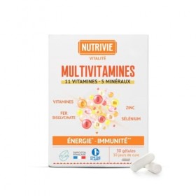 Multivitamines Gélules – 11 Vitamines A,B,C,D,E + 5 Minéraux dont Fer, Zinc, Sélénium – 100% AR – Aide à Réduire la Fatigue, 