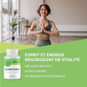 Vimergy CeleryForce, Gélules 500 mg – Acides Aminés et Nutriments Essentiels – Booster à Base de Jus de Céleri – Gélules Végé