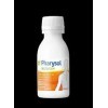 PHARYSOL PECTOFLEM 100 ML