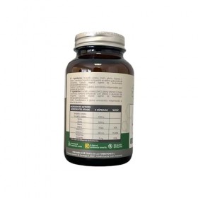 WeBotanix | Formule GlyNAC+ | 60 gélules | N-acétylcystéine NAC et glycine | Avec vitamine C, sélénium et manganèse | santé