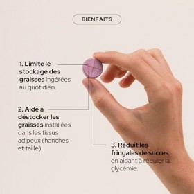 EPYCURE - Boost Méta Morosil 400mg Hautement Dosé - 87% Naturel - Équilibre Énergétique - Orange Moro, Cola, Chrome, Choline 