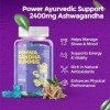 Gummies à lashwagandha 2400 mg – Paquet de 120 | Extrait de racine dashwagandha haute concentration 30:1 | Soulage le str