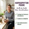 Harpagophytum Poudre Griffe du Diable | Articulations Mobilité Confort Articulaire | Anti-Inflammatoire Naturel Douleurs Musc