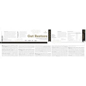 Golden Tree Gut Restore – Complément digestif avec inuline, extrait de kiwi doré, enzymes digestives et fibres – Mélange préb