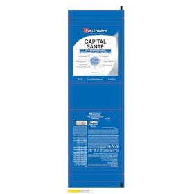 Forté Pharma - Capital Santé Equilibre émotionnel Performances intellectuelles - 1 cuil.-20 nutriments - Vitamines, Ginseng, 