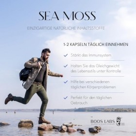 BOOS LABS Mousse dIrlande | 500 mg | Mousse dIrlande 100% naturelle | 120 gélules végétaliennes | 2 gélules par jour | Comp