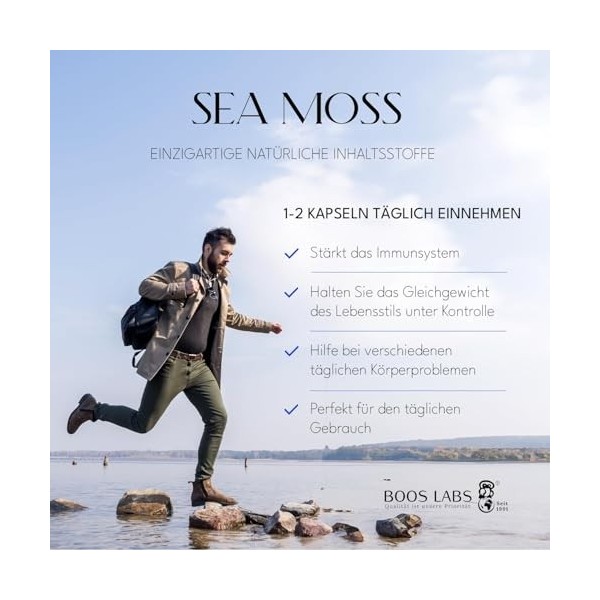 BOOS LABS Mousse dIrlande | 500 mg | Mousse dIrlande 100% naturelle | 120 gélules végétaliennes | 2 gélules par jour | Comp