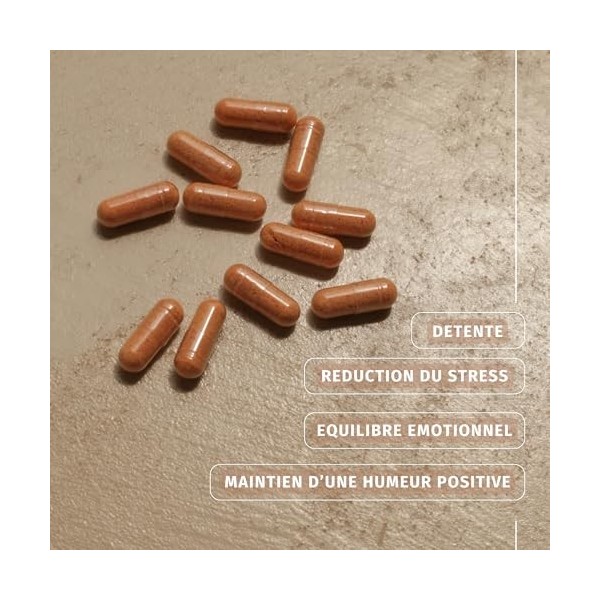 Safran l Extrait de Stigmate de Safran, Vitamine B6 et B9 l Soutien Émotionnel, Énergie & Bien‑être l 60 Gélules Vegan l Fabr