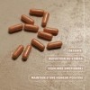Safran l Extrait de Stigmate de Safran, Vitamine B6 et B9 l Soutien Émotionnel, Énergie & Bien‑être l 60 Gélules Vegan l Fabr