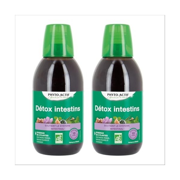 PHYTO-ACTIF | Cocktail Détox Intestins | Complément alimentaire Détox | Soutient le Système Intestinal | Favorise le Transit 