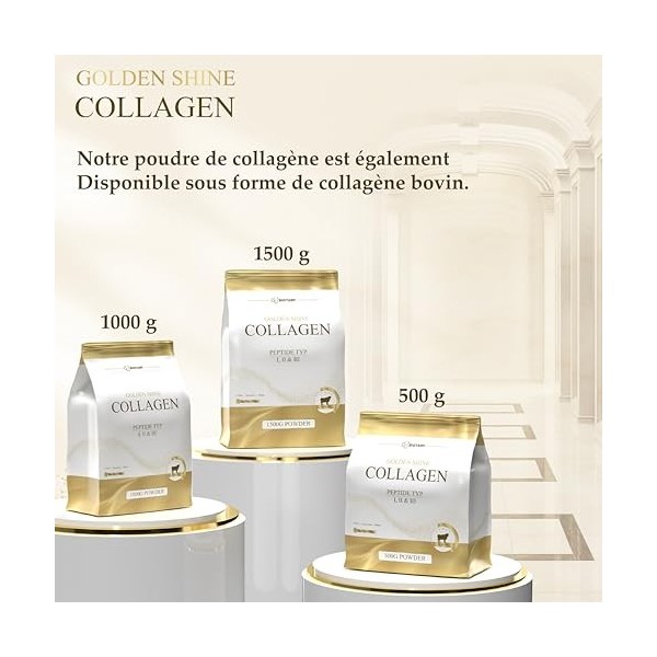 GOLDEN SHINE collagène marin en poudre 600 g collagène de poisson hydrolysé peptides type 1 incl cuillère doseuse très bonne 