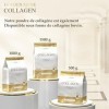 GOLDEN SHINE collagène marin en poudre 600 g collagène de poisson hydrolysé peptides type 1 incl cuillère doseuse très bonne 