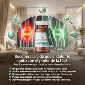 PEA 400 mg – Complément Alimentaire | Gélules Végétales | Végan et Sans Gluten | Sans Lactose ni OGM | Soutien Naturel du Bie