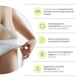 Gluco Shape, 60 Gummies Coupe Faim. Avec Canelle de Ceylan, Chaga, Chrome et Fibersol, pour 60 Jours. Favorise la Digestion. 