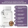 PEA Capsules 500 mg – Palmitoyléthanolamide Hautement Dosée – 1 000 mg par Dose Journalière – Substance Pure à Ingrédient Uni
