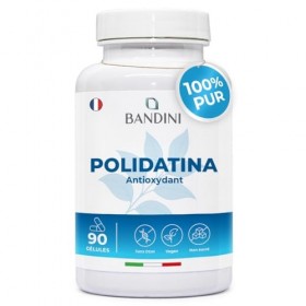 Bandini® Polydatine Pure 100 mg de Polygonum cuspidatum – 90 gélules végétales - Puissant Antioxydant naturel, précurseur du 
