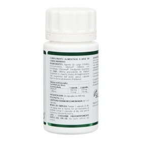 Holofit Silibina Phytoactiv Equisalud 50 gélules