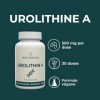 Naturecan Urolithine A 500 mg 30 Capsules 