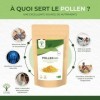 BIOPTIMAL - Pollen Bio - Superaliment - Immunité Vitalité Énergie - 100% Pollen de fleurs Pur - Qualité Premium - Conditionné...