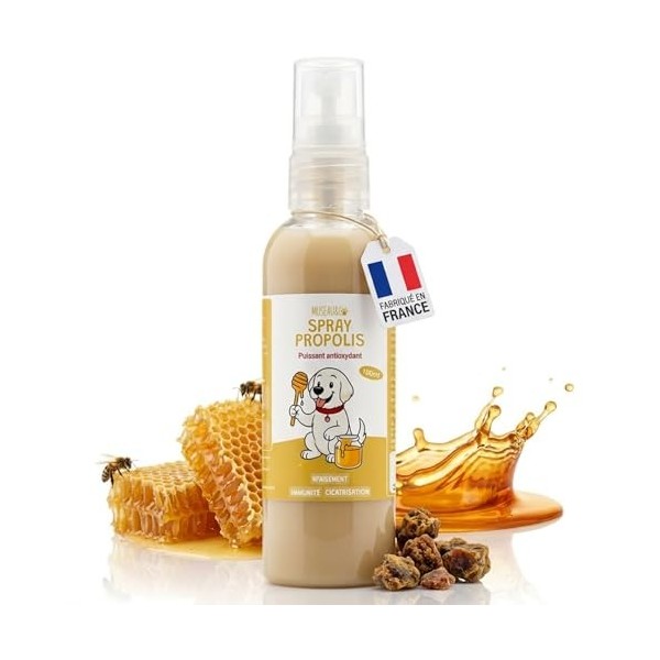 Spray Propolis Chien Chat - Gingivite Stomatite Hygiène Buccale - Propolis Pure sans Alcool - Cicatrisant Plaies Irritations 